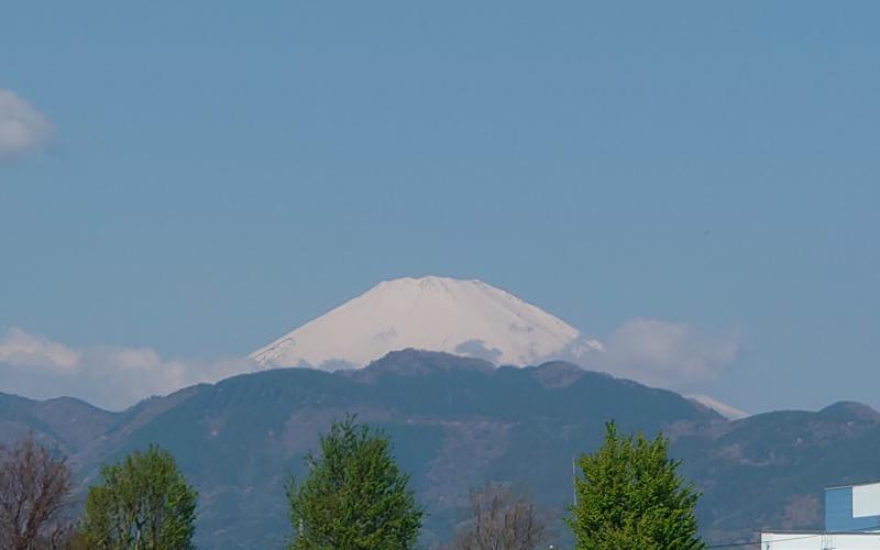 5582-1.jpg
